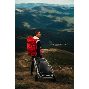 Портативний газовий гриль Weber Traveler 9010075. Photo 2 Портативний газовий гриль Weber Traveler 9010075. Photo 2