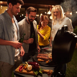 Електричний гриль Char-Broil ALL-STAR 120 B-ELECTRIC 19659160. Photo 2