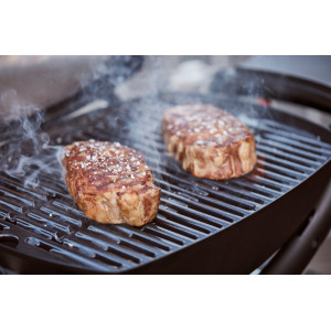 Портативний газовий гриль Weber Q1200 51010075. Photo 2