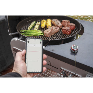 Термометр iGrill mini для стейка Weber 7220. Photo 2