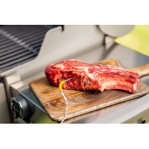 Датчик к Bluetooth термометрам Weber iGrill 7212. Photo 2