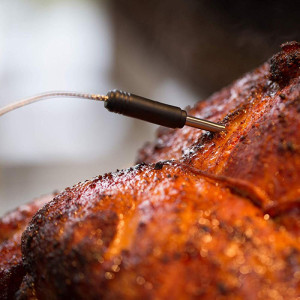 Термометр для мяса на 2 щупа Broil King 61935. Photo 3