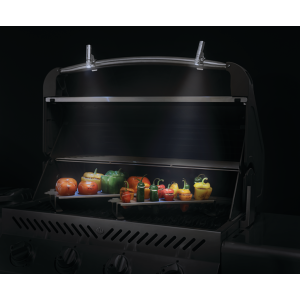 Фонарик LED для гриля Napoleon 70020. Photo 3