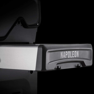Газовый Гриль Napoleon ROGUE 425 SE  в комплекте вертел RSE425RSIPSS-1. Photo 2