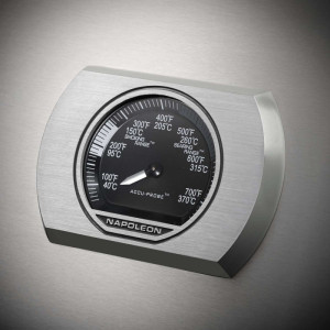 Газовий Гриль Napoleon ROGUE 425 SE в комплекті рожен RSE425RSIPSS-1. Photo 2