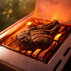 Газовый гриль Napoleon Rogue SE 525 RSE525RSIBPSS-1. Photo 3