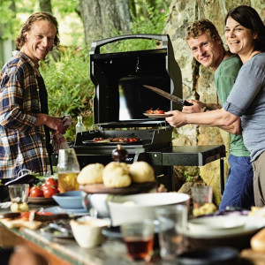 Газовий гриль Weber Spirit E-210 Original 46010675. Photo 2