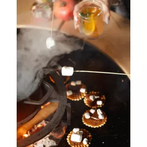 Гриль мангал AHOS SPHERE LOW. Photo 2