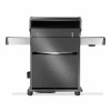 Газовый гриль Napoleon ROGUE PRO-S 625 боковая горелка SIZZLE ZONE вертел в комплекте-RPS625RSIBPK-2