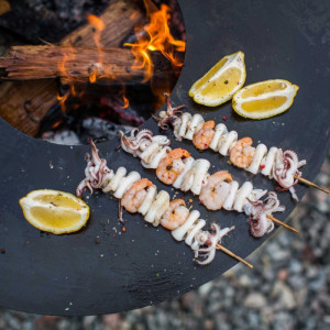 Гриль-мангал на дровах UNO + UNO+. Photo 2