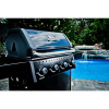 Гриль газовый Broil King CROWN 410-865953