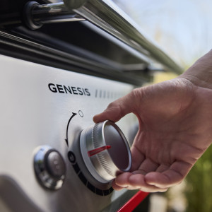 Гриль газовий Weber Genesis Е-315W-1501279. Photo 3