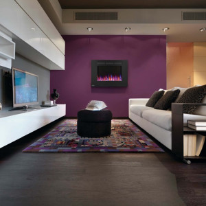 Камин электрический горизонтальный ALLURE 32 Napoleon-NEFL32FH-EU. Photo 3