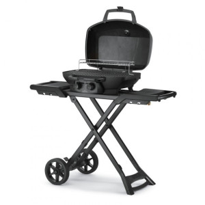 Портативний газовий гриль Napoleon PHANTOM TRAVELQ PRO 285X матовий PRO285X-MK-RC-PHM. Photo 3
