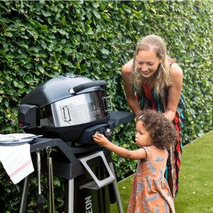 Универсальный вертел с электроприводом для портативных грилей Napoleon TQ285 TRAVEL 69282. Photo 2