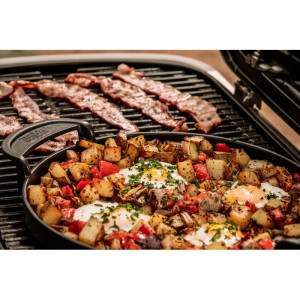 Портативный гриль газовый Weber Traveler Stealth Edition черный 9013075. Photo 3